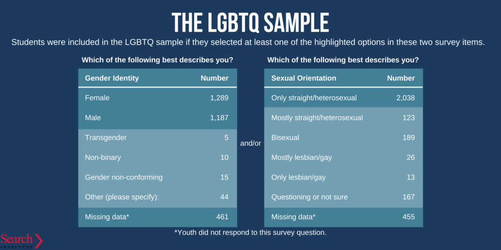 LGBTQ youth sample