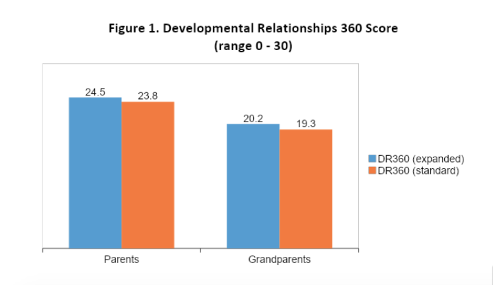 developmental relationships score